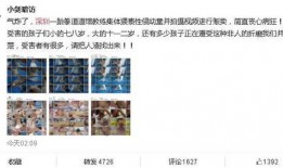 松柏道馆爆料视频大全,揭秘武术秘籍与传奇故事